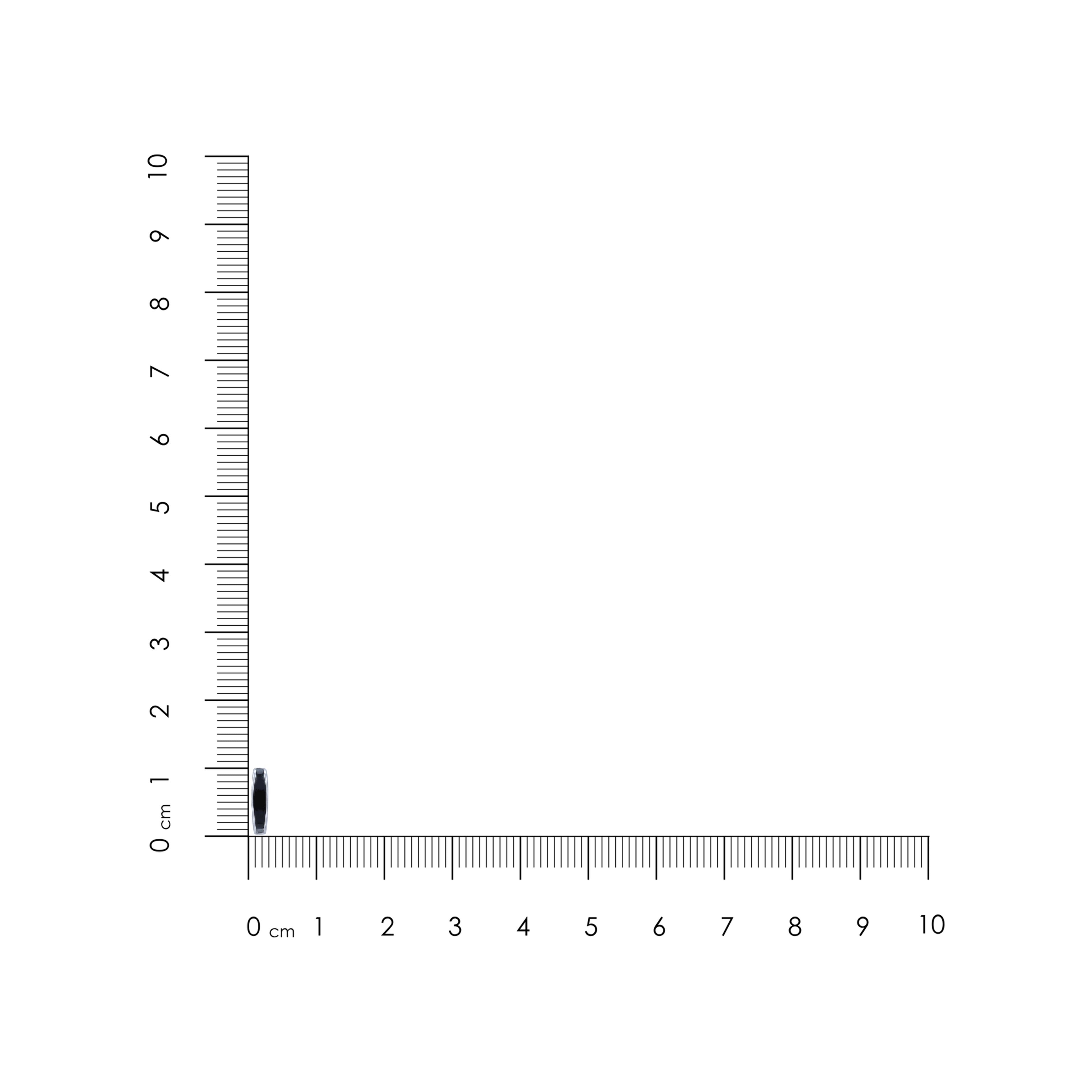 Small black object next to a ruler on a white background