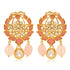 925 Luxury Gold Drop Silver Earrings