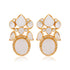 925 Sparkling Big Stone Silver Earring