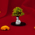 925 Sterling Silver Little Krishna Rosewood Tree Sculptural Design