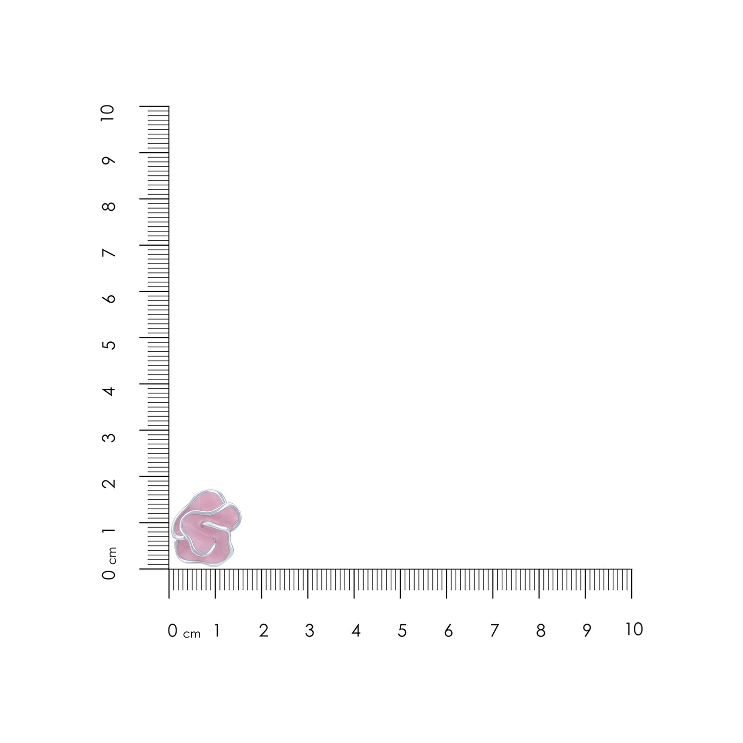 Small pink flower next to a ruler on a white background