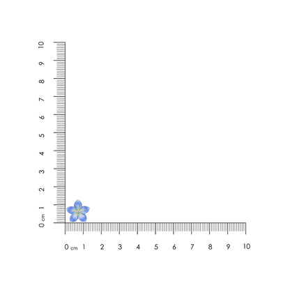 Small blue flower next to a ruler on a white background