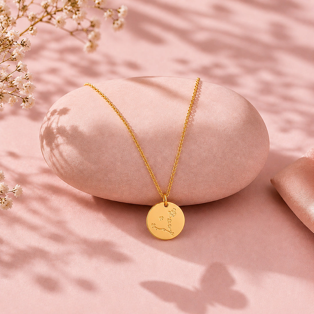 Celestial Constellation Disc 925 Sterling Silver Golden Chain Pendant for Women Vendi Signature