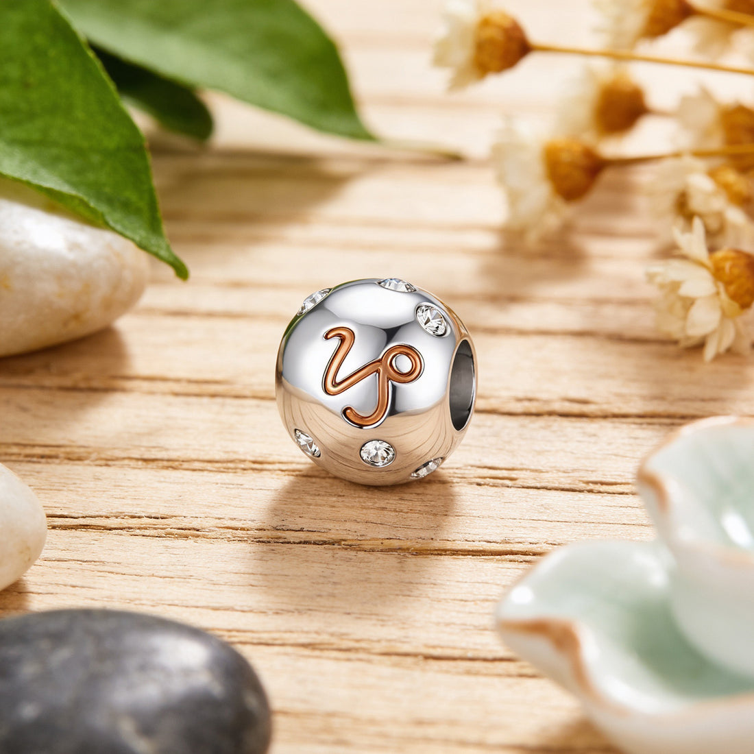 Radiant Capricorn Zodiac 925 Sterling Silver Charms