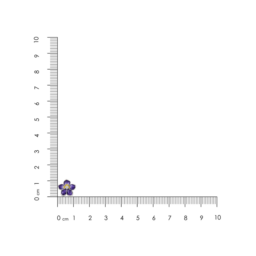 Small purple flower next to a ruler on a white background