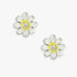 Solitary White Daisy Rhodium Studs