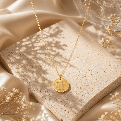 Starlight Symphony Disc 925 Sterling Silver Chain Pendant for Women