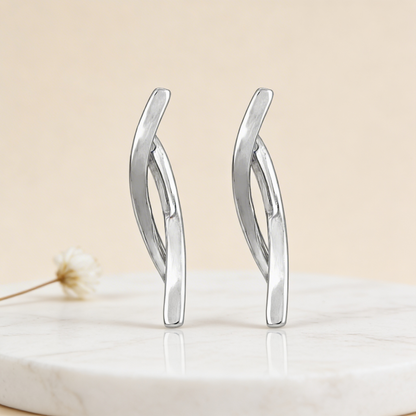 Pair of silver earrings on a light beige background